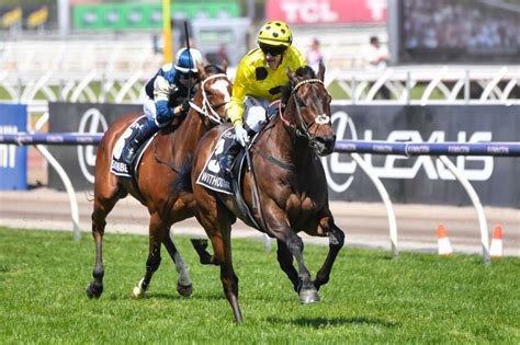 Melbourne Cup 2023 result, highlights, Without a Fight wins, odds .